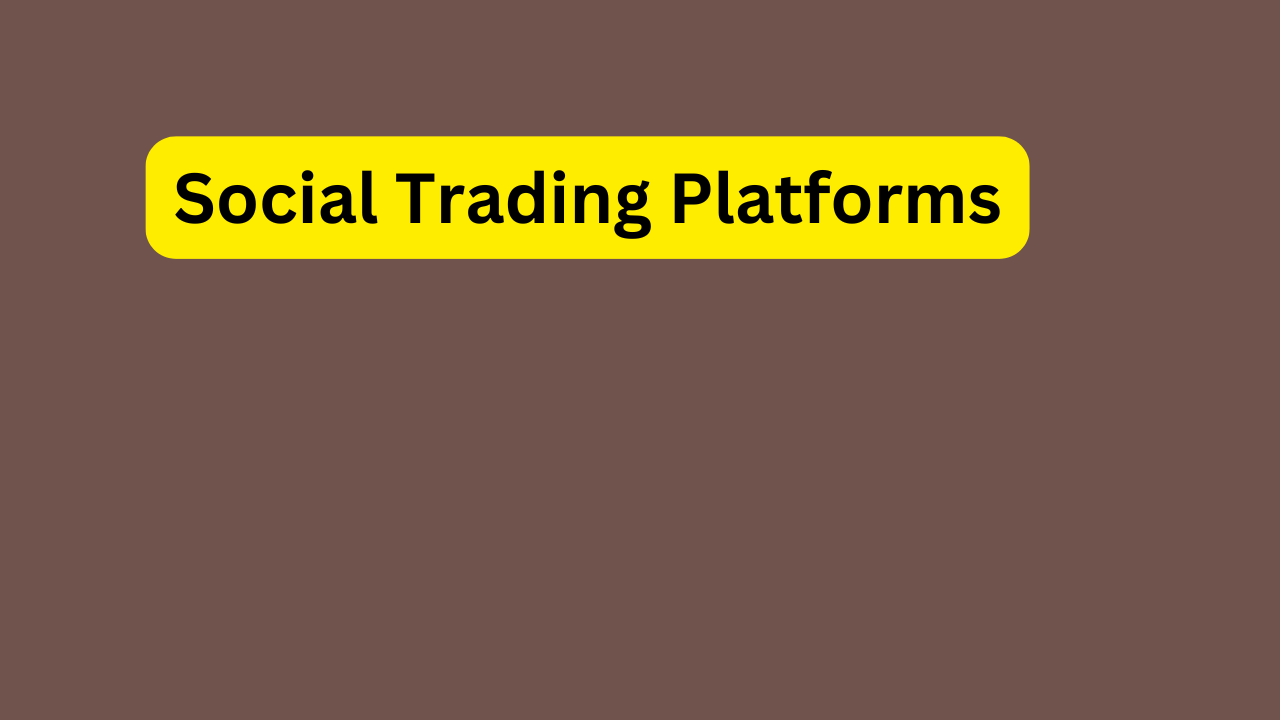 Social Trading Platforms